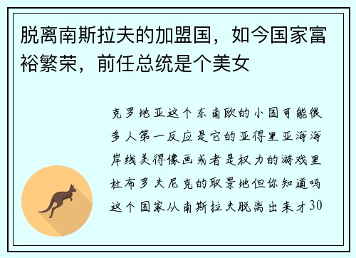 脱离南斯拉夫的加盟国，如今国家富裕繁荣，前任总统是个美女
