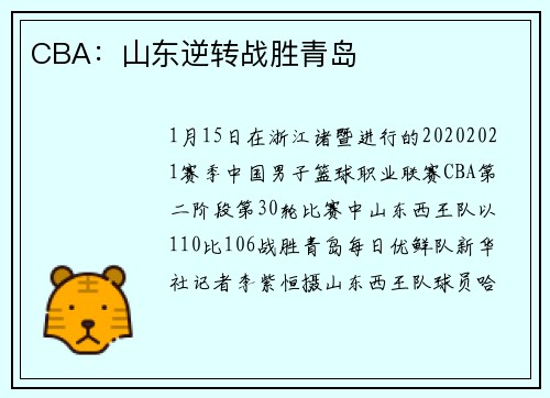 CBA：山东逆转战胜青岛